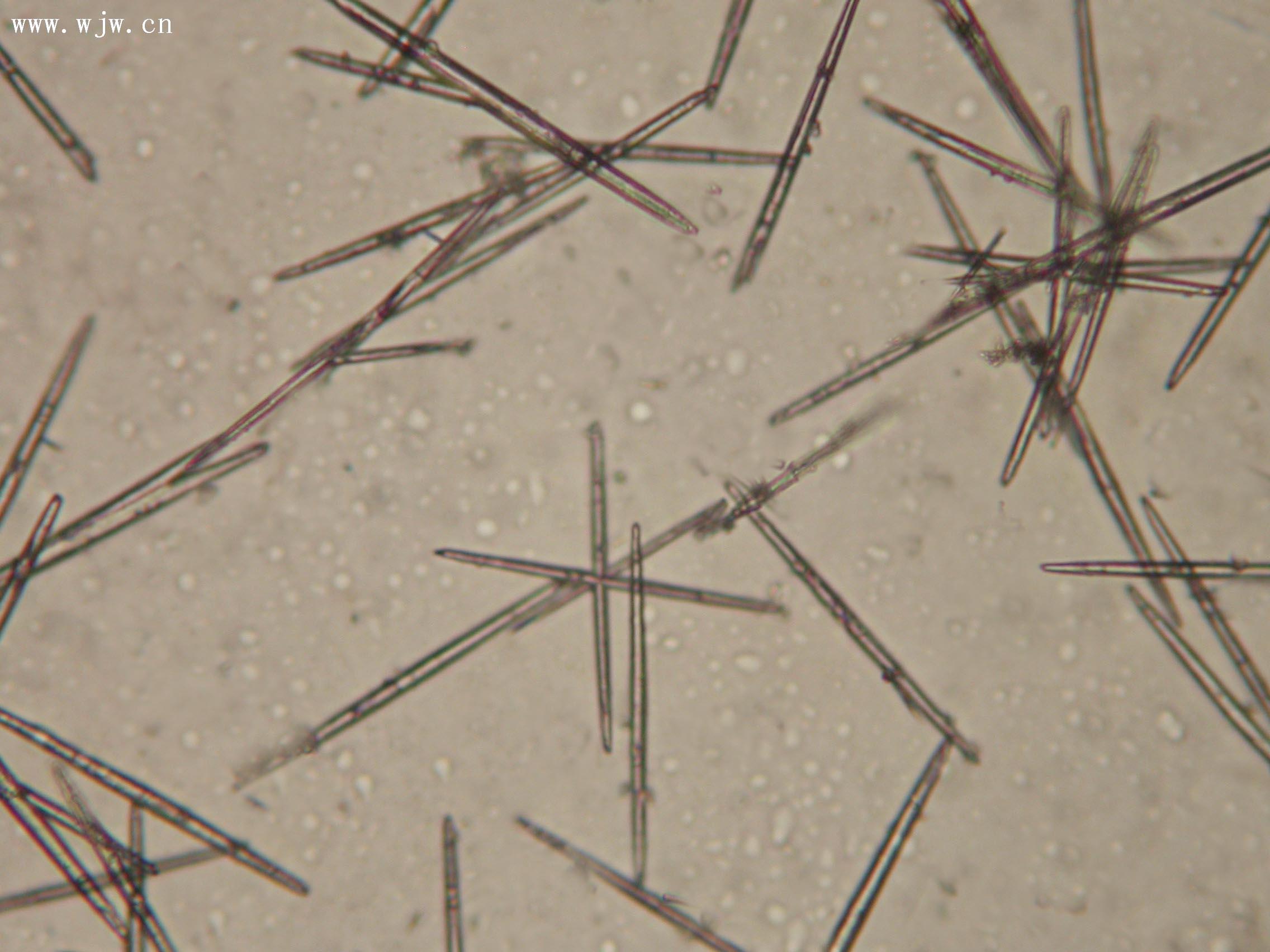 碳酸钙晶须的制备及对天然橡胶补强性能的研究(图1)